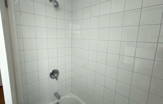 Studio, 1 bath, 487 sqft, $1,300, Unit Fifth 201