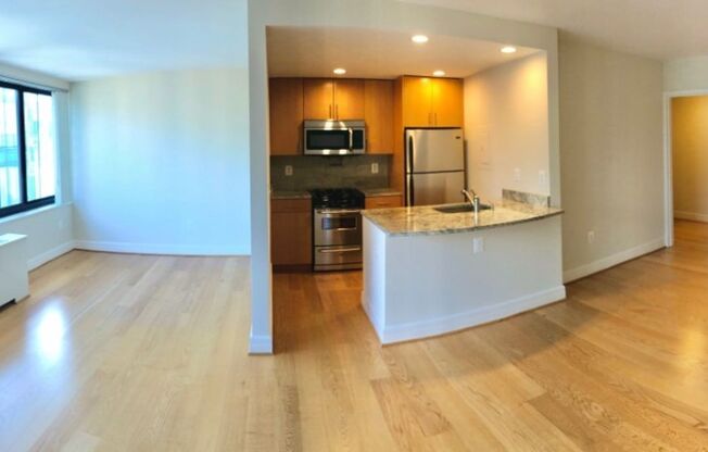 Studio, 1 bath, 460 sqft, $2,700, Unit 1014