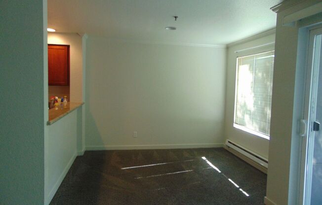 2 Bedroom/1 Bath Luxury Beacon Hill Condo, Perfect Location!!