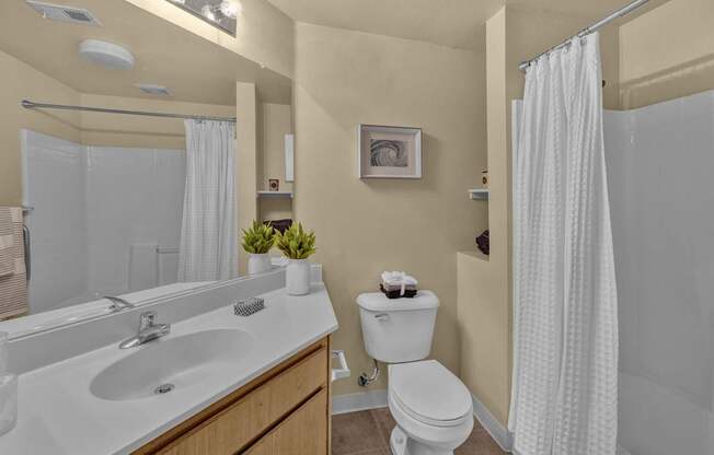Bathroom at Terra Vista Apartments