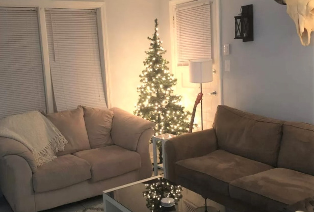 1 bed, 1 bath, 600 sqft, $1,350