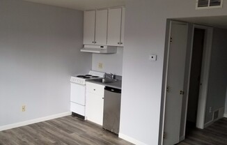 Studio, 1 bath, 475 sqft, $900, Unit 215