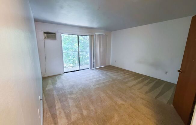 Studio, 1 bath, $750, Unit 2