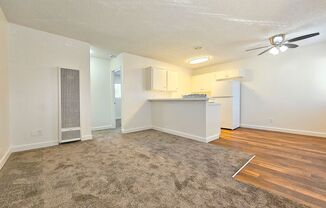 Parks Ave. Apartments