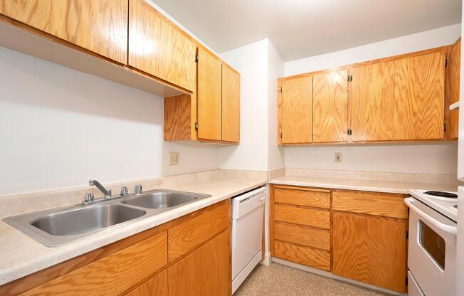 Classic Kitchen with Sink.jpg