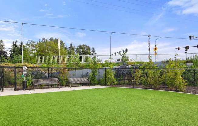 A green field with a fence and a bench.