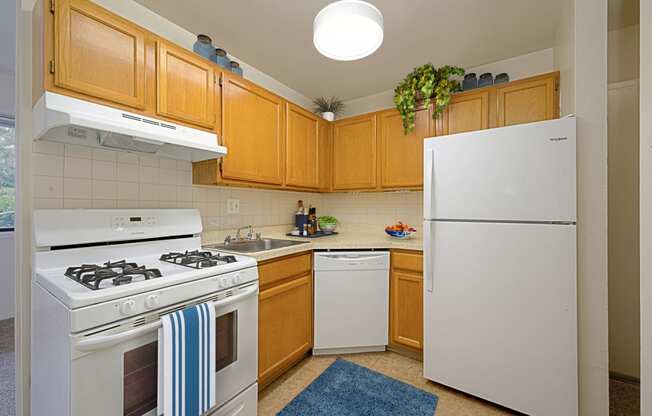 kitchen at Seven Springs Apartments, College Park