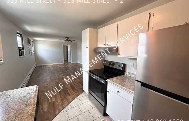 313 Mill Street - 313 Mill Street