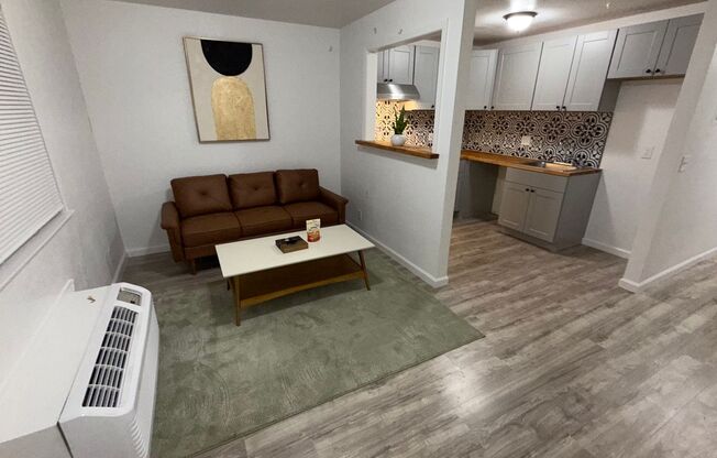 1 bed, 1 bath, $1,450, Unit 9