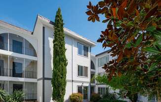 Ridge at Bellevue Apartments in Bellevue, WA