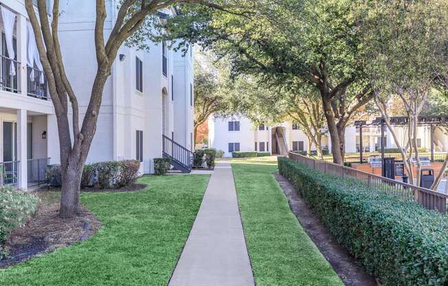 a walkway with trees and bushes on either side