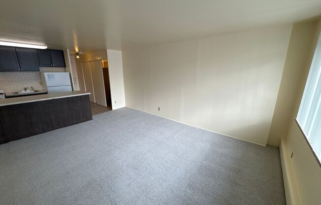 Studio, 1 bath, 375 sqft, $825, Unit 604