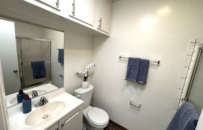 Studio, 1 bath, 345 sqft, $1,525, Unit 70