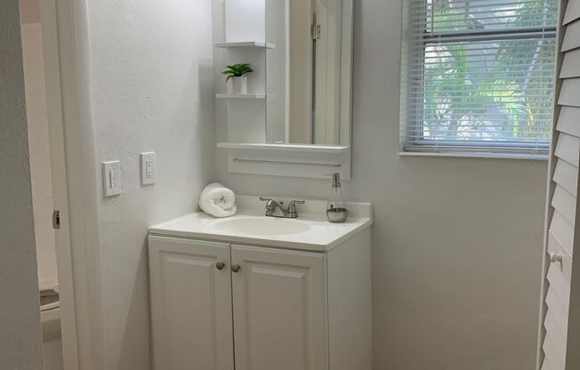 1 bed, 1 bath, $2,390, Unit 13