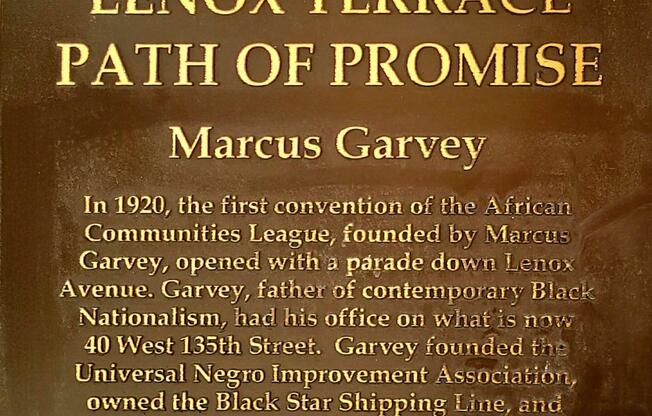 Studio, 1 bath, $2,495, Unit 10M