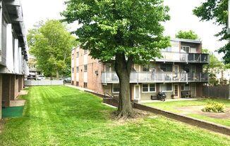 Magnolia Court