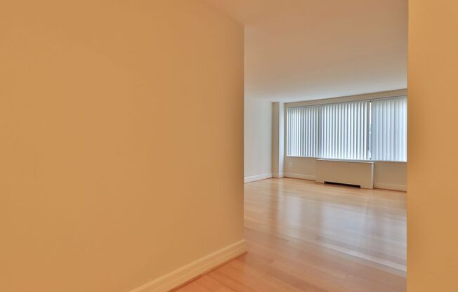 Studio, 1 bath, 440 sqft, $2,295, Unit 0220
