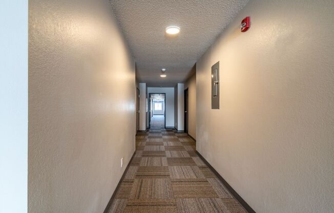 Studio, 1 bath, 450 sqft, $795, Unit Unit 206