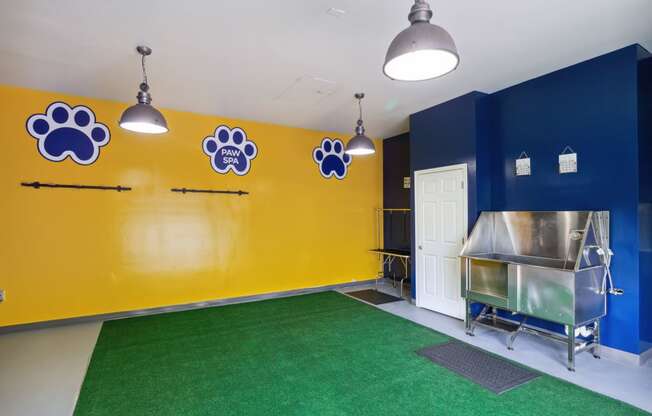 a large room with a green carpet and blue and yellow walls