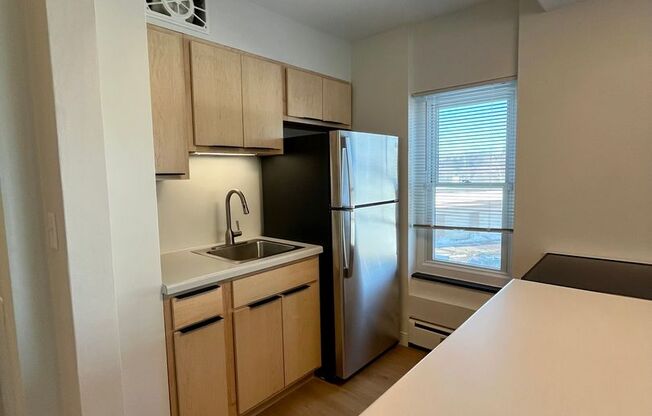 1 bed, 1 bath, 488 sqft, $1,250, Unit 203