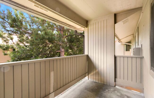 Great Condo near CSU