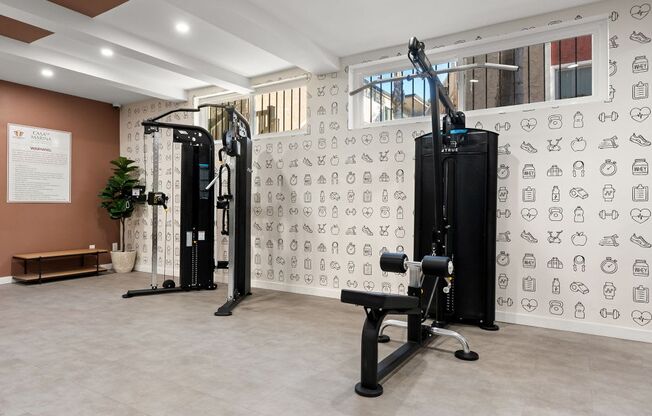 A gym with a wall of exercise icons and a row of exercise machines.