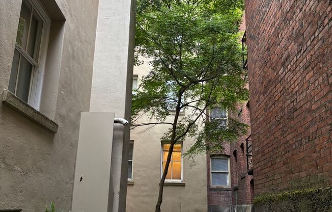 Studio, 1 bath, 440 sqft, $1,250, Unit 501