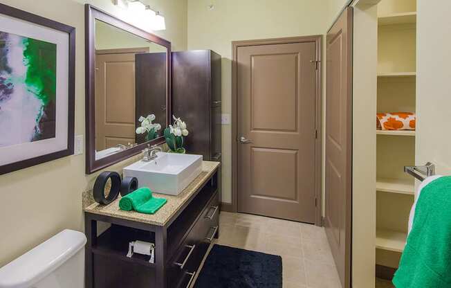 a bathroom with a sink and a mirror