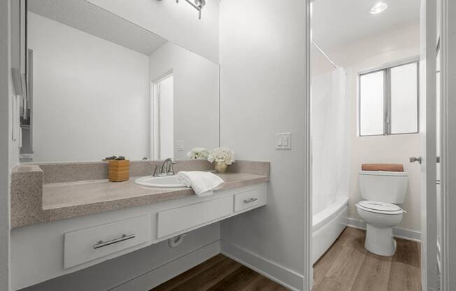 A bathroom with a sink, mirror, and toilet.