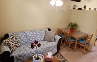 1 bed, 1 bath, $800