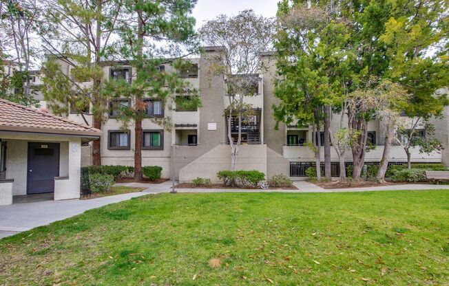 1 Bed 1 Bath With Lots of Amenities!