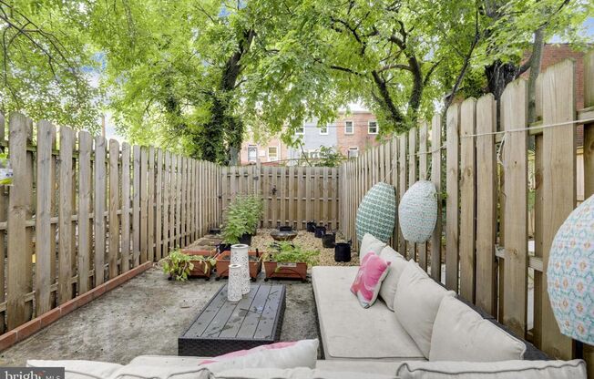 DC Backyard Oasis-Fully Renovated Two-Bedroom House Available Now!