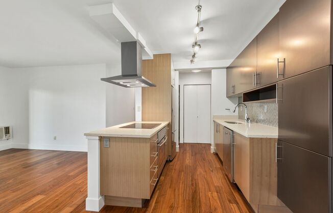1Bd/1Ba Seattle Condo