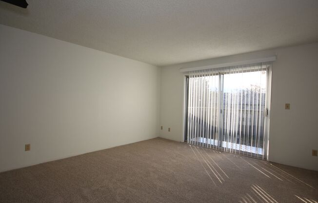 2 beds, 1 bath, $1,600