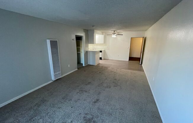 1 bed, 1 bath, 700 sqft, $2,000