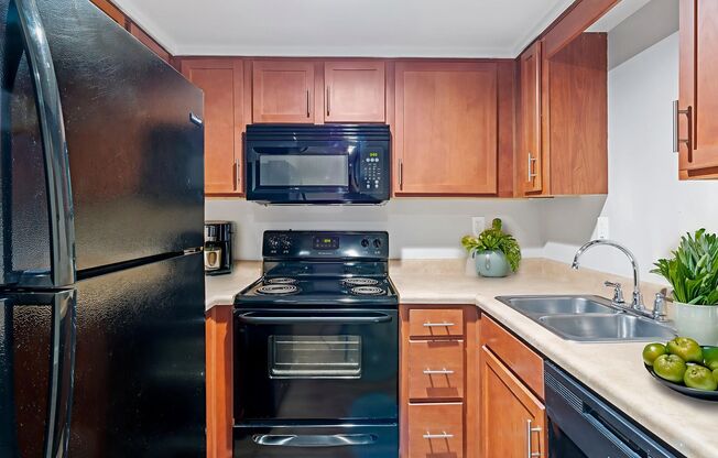 1 bed, 1 bath, 540 sqft, $1,000, Unit 207