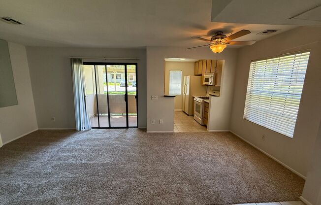 1 Bed, 1 Bath Condo - Fireplace + Private Patio w/ Washer/Dryer!