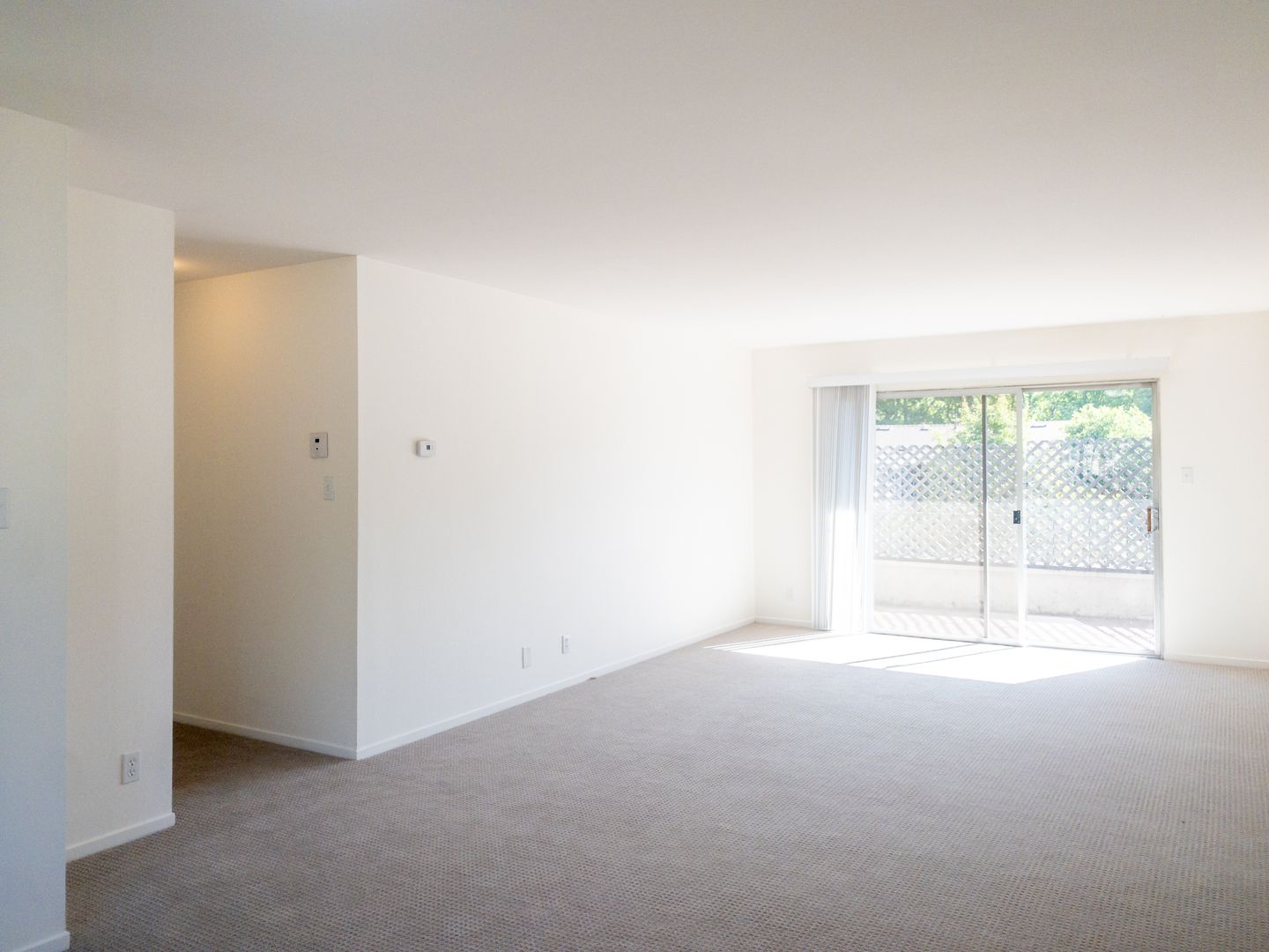 BRIGHT Remodeled Downtown 1BR/1BA Flat! Parking! -PROGRESSIVE