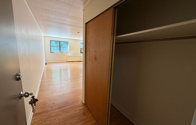 Studio, 1 bath, 487 sqft, $1,250, Unit Fifth 306