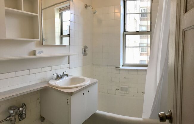 Studio, 1 bath, 233 sqft, $1,425, Unit 415
