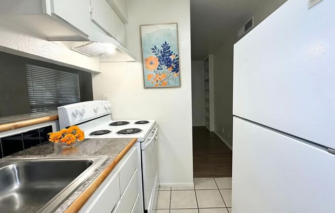 1 bed, 1 bath, 619 sqft, $1,299, Unit OPA-160