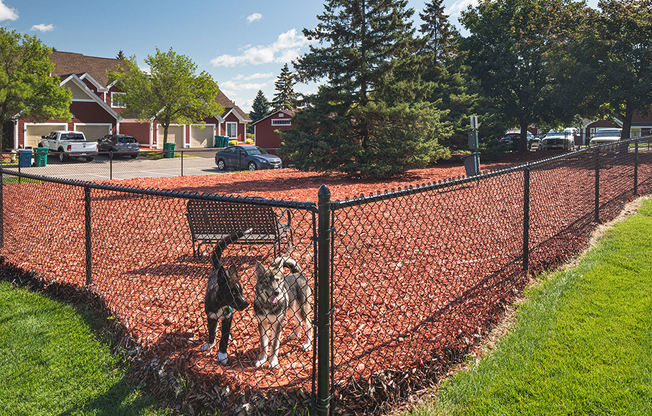 Bass Lake Hills Townhomes - Off-Leash Dog Park Area