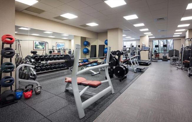 2 beds, 2 baths, $7,095, Unit 2410