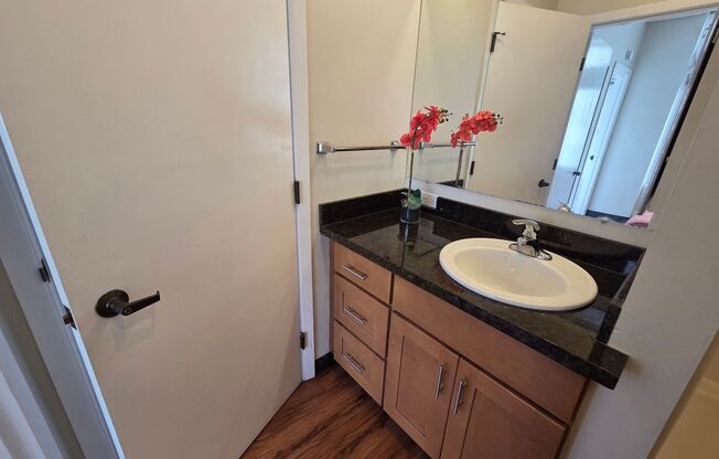 1 bed, 1 bath, 500 sqft, $1,625, Unit 1007