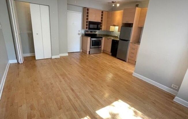 Studio, 1 bath, $1,300, Unit 103
