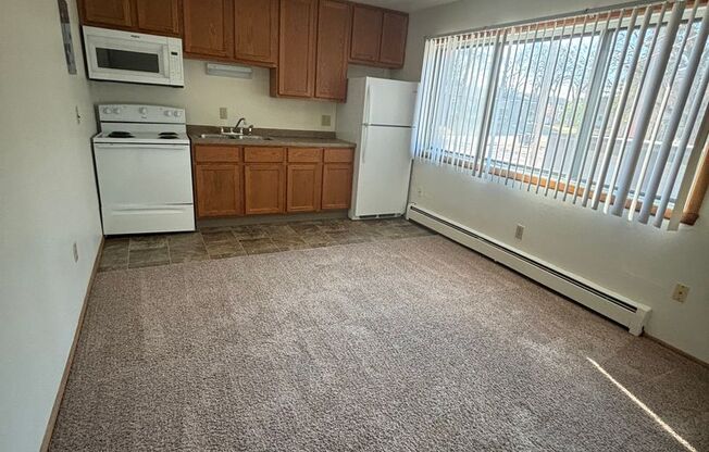 Studio, 1 bath, 300 sqft, $550, Unit 11