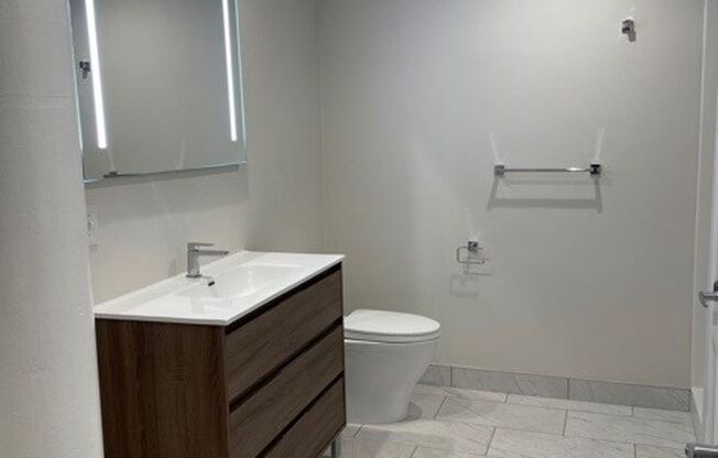 1 bed, 1 bath, 432 sqft, $1,825, Unit 1314