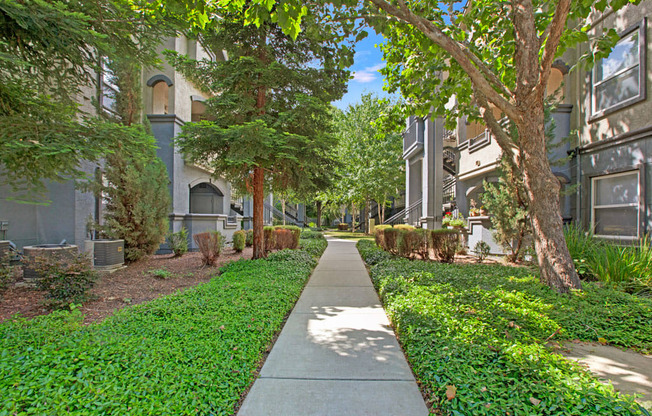 Lush Green Scenery | Apartments for Rent in Sacramento CA | Broadleaf Apartments