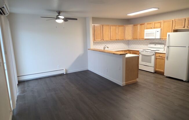 1 bed, 1 bath, 600 sqft, $1,495, Unit 1025-203
