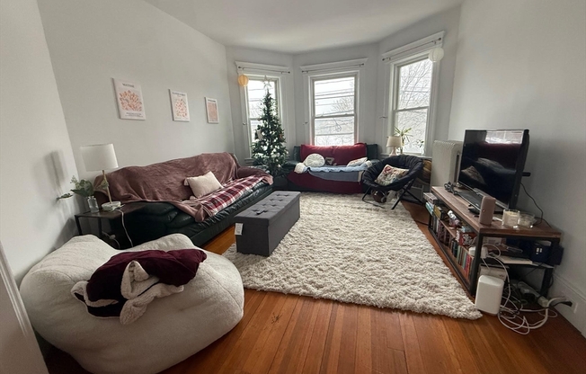98 Cypress St.